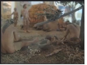 Native American Culture and History