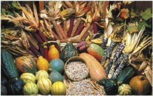 Native American Food