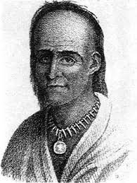 Chief Little Turtle